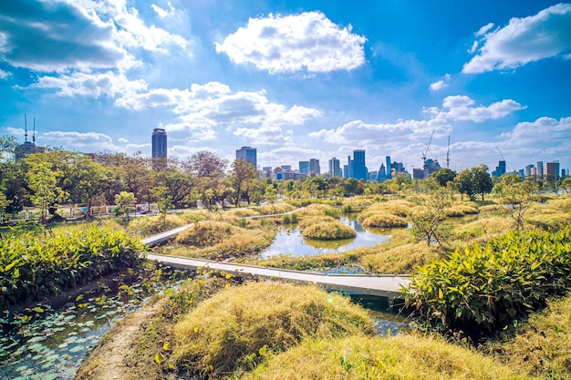 Foto stadspark en landschap achtergrond