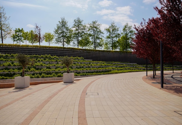 Foto stadspark krasnodar betonnen pad in het park stedelijke omgeving