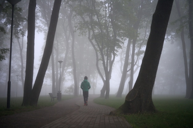 Stadspark met bossen en bomen in mistige ochtend jongere persoon silhouet in het mysterie wandelen