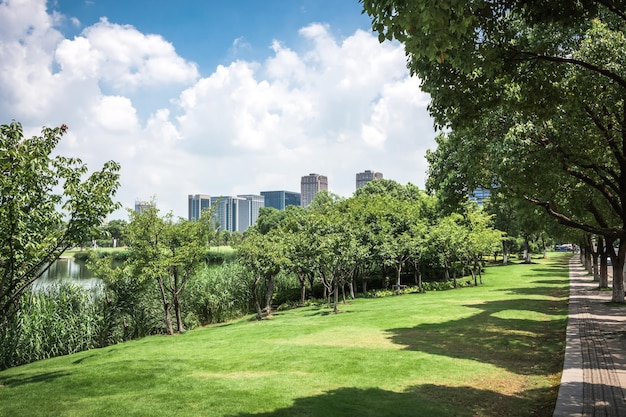 Stadspark met moderne bouw achtergrond