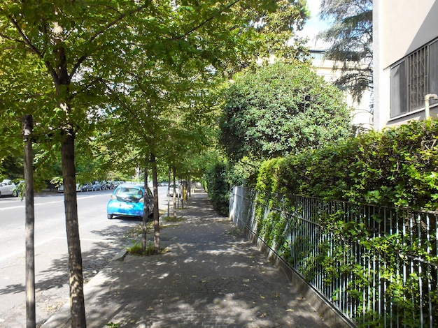 Stadsstoep op een lege straat omzoomd met groene bomen aan beide kanten.