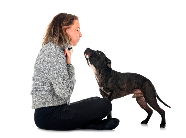 Staffordshire bull terrier en vrouw voor witte achtergrond