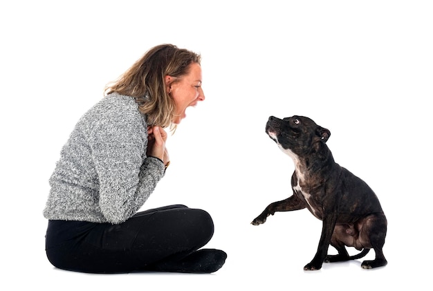 Staffordshire bull terrier and woman in front of white background