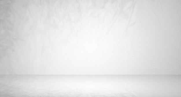 무대 바닥 또는 시멘트 바닥과 벽에 부드러운 그림자 잎 밝은 회색과 그라디언트 스타일의 스튜디오 방