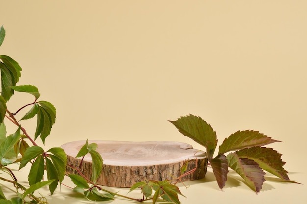 A stage with a showcase made of natural wood. The podium for the presentation of goods and cosmetics is made of a cylindrical bar on a beige background. Minimalistic branding scene.