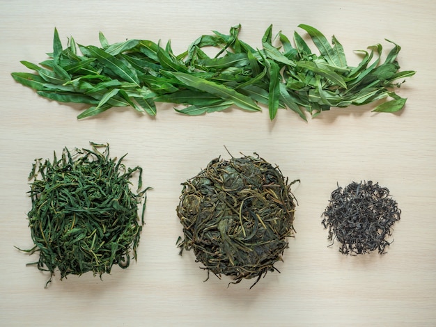 Stages of production of fermented tea leaves. Fermented Ivan-tea.