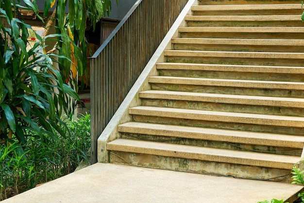 stair step with tropical tree in garden