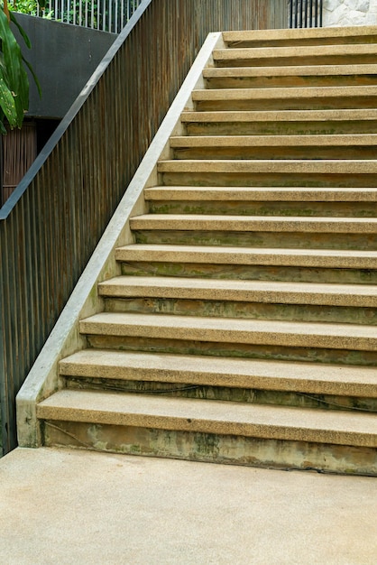 庭の熱帯の木と階段