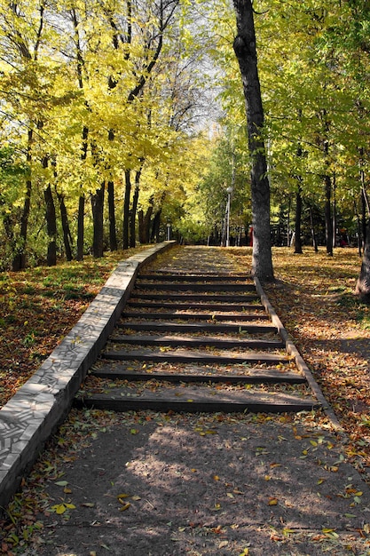 Staircase in autumn park