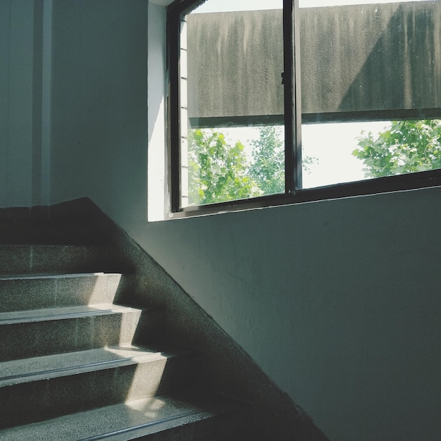 Photo staircase of building