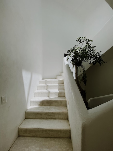 Photo staircase of building