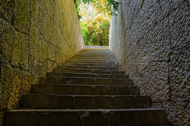 A staircase leads up to a tree - covered hill.