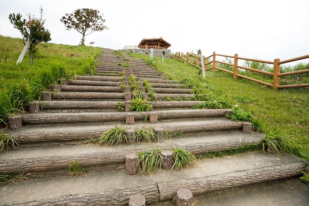 公園中的樓梯