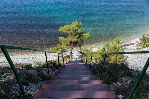 Una scala verso il mare sugli scogli conduce ad una spiaggia selvaggia. strada attraverso la foresta