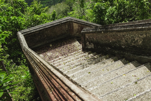 Staircase in the temple hidden inside the jungle of Thailand