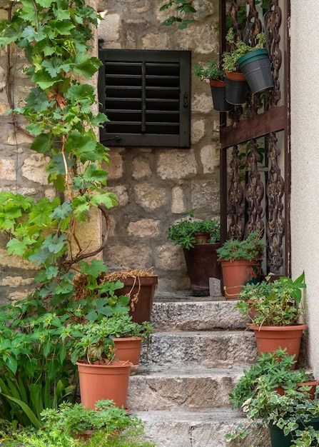 Staircase with flower pots and entrance to the house Tourist city in Croatia