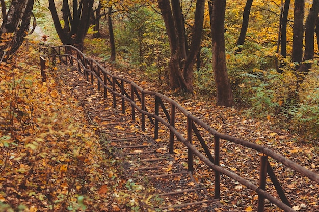 Лестница в осеннем парке