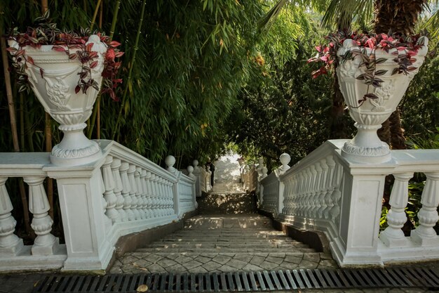 Stairs down and up also access for walking in a tour or\
park