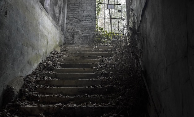 Stairs to the entrance gate of an old building