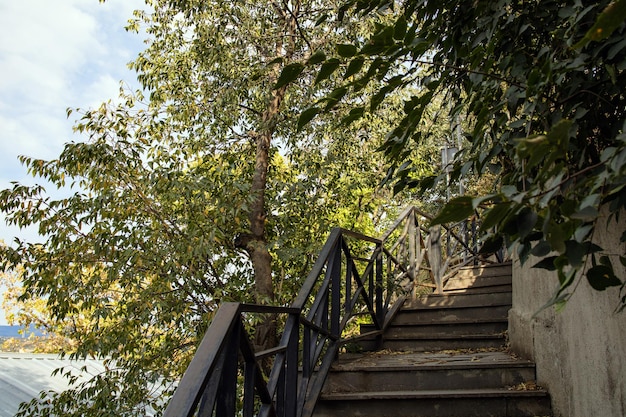 A stairs leading upward surrounded by green trees Late summer sunny day