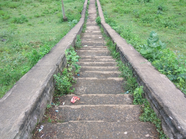 Stairs Pavers in Greenery Forest