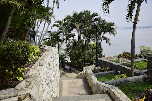 Stairs of the santa ana hill Guayaquil