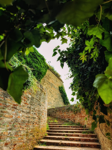 Photo stairs in the tunnel leading to the petrovaradin fortress novi sad serbia