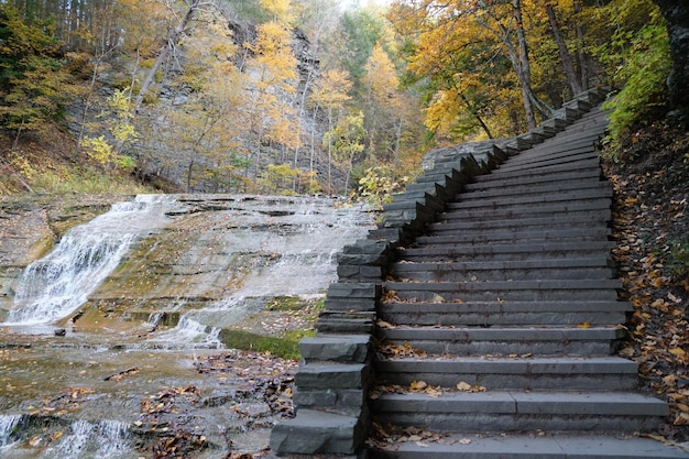 Лестница на пешеходной тропе возле Buttermilk Falls Ithaca Нью-Йорк