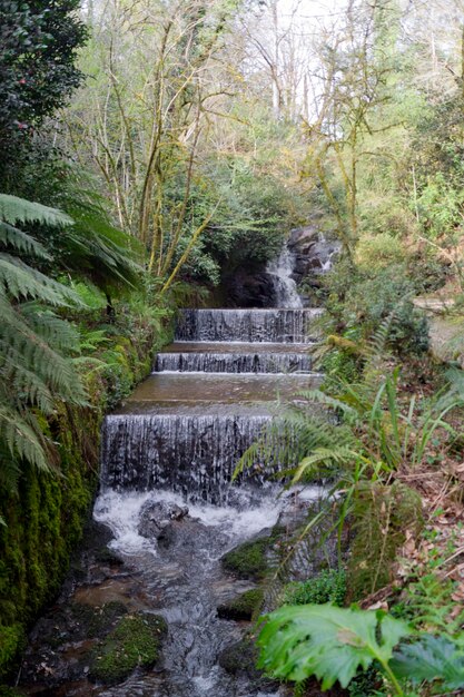 Stairshaped waterfall surrounded by all kinds of vegetation