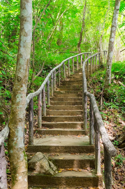 Stairway to jungle, Sai Yok National Park, Kanchanburi,Thailand