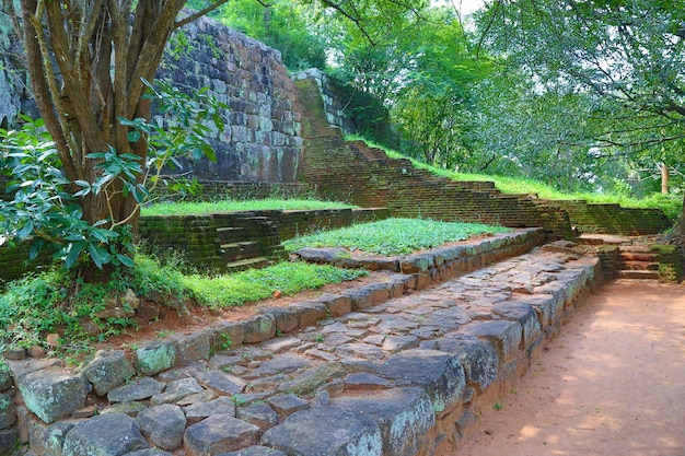 Scala nel castello del leone di sigiriya