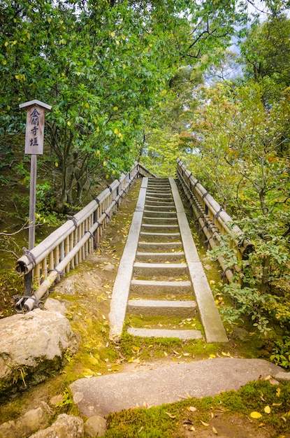 写真 自然への階段。京都。日本