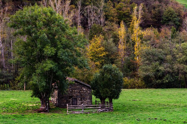 Stal en hooiberg beide faciliteiten zijn van groot belang voor traditionele Asturische huisvesting