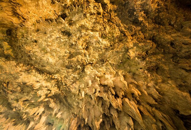 写真 洞窟の鍾乳石
