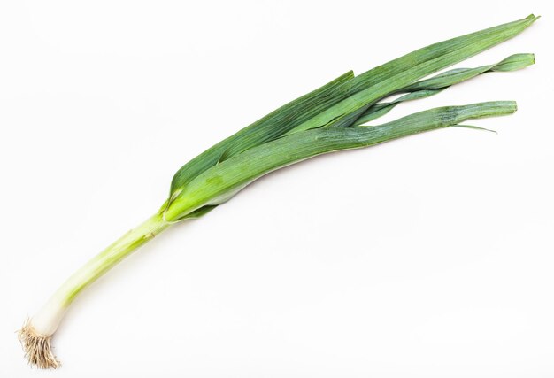 Стебель свежего зеленого лука-порея на белом