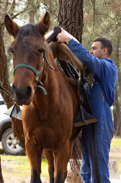 Stalwerker die het zadel op een bruin paard plaatst, verticaal uitgesneden zicht