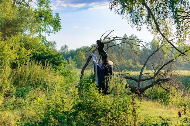 Stam van gebroken boom op de rivieroever tegen groene bomen en blauwe hemel met wolken op zonnige zomerdag. Rivierlandschap