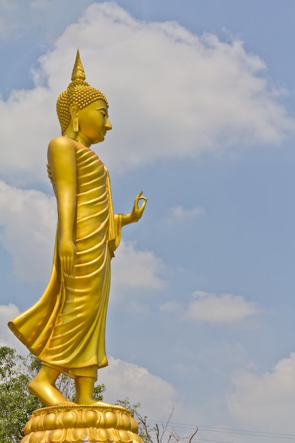 Photo stand golden buddha image.