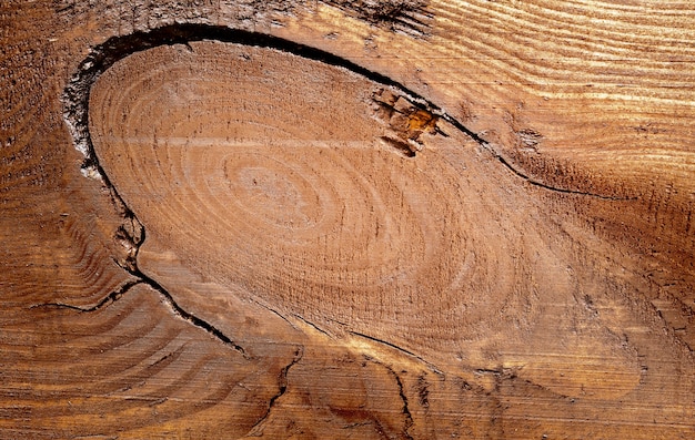 茶色の乾燥木材の標準