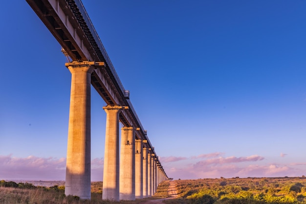 Photo standard gauge railway bridge pillars sgr kenya railways worlds only wildlife capital nairobi natio