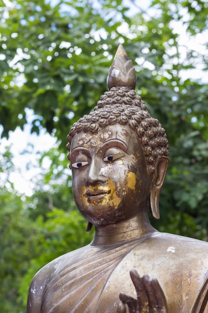 Standbeeld Boeddha
