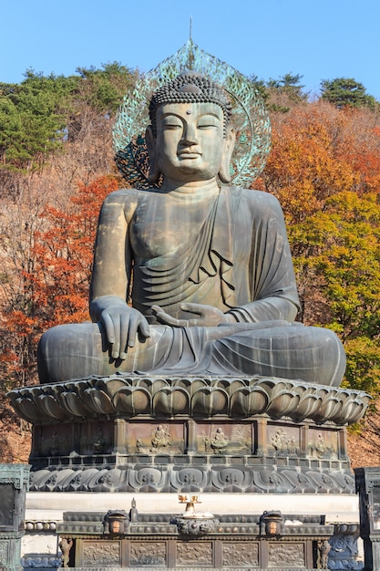 Standbeeld van boeddha in seoraksan national park