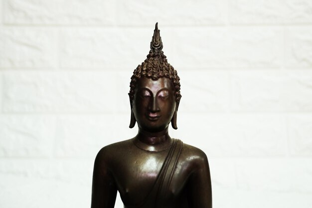 Standbeeld van Boeddha tegen de muur in het gebouw