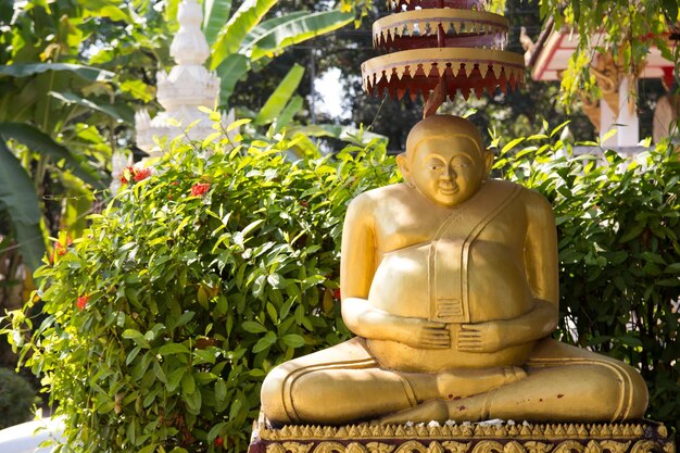Foto standbeeld van boeddha tegen planten
