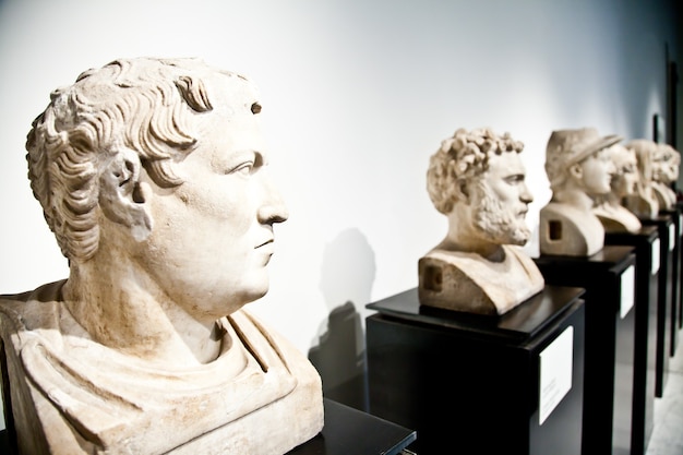 Standbeeldverzameling van klassiek model, Napels, Italië