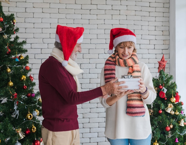 Standing beautiful caucasian senior woman feel happy receiving\
christmas gift from her husband during celebrating christmas and\
new year at home with decorated tree in living room. romantic\
holiday.