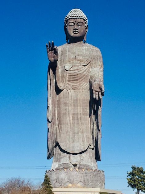 Foto il buddha in piedi