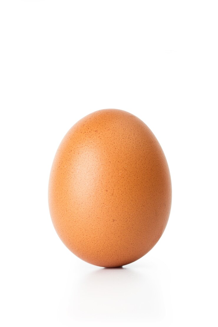 Photo a standing egg on a white background