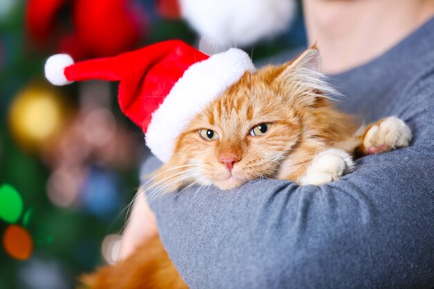 Photo standing man holding a fluffy red cat on christmas background