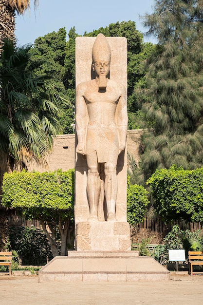 Standing statue of Ramses II on the background of green palm trees in open air museum of Memphis Egypt